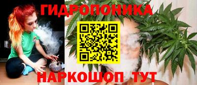 стаф Гагарин