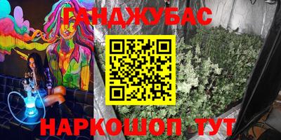 стаф Гагарин