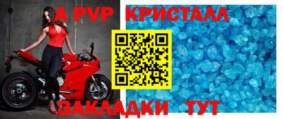 стаф Гагарин