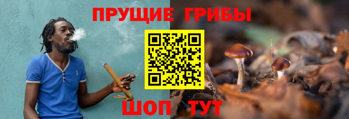 Галлюциногенные грибы Cubensis  Вход с VPN  Новороссийск  Галлюциногенные грибы Psilocybe 
